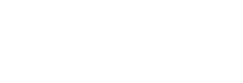 Digisemestr